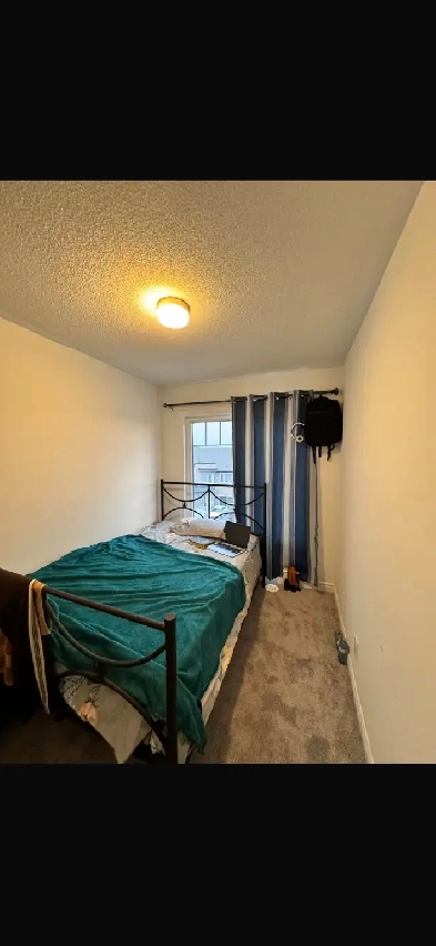 Single room for rent $699 Image# 1