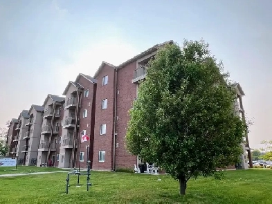 Modern 2-Bed, 2-Bath Condo in LaSalle – Move-in Ready Image# 4