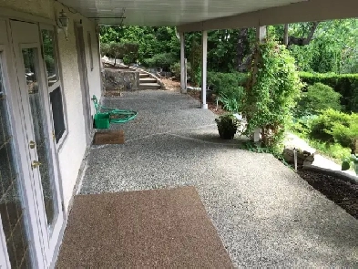 Daylight basement suite 1 bedroom   den Image# 1