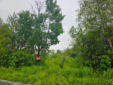 Terrain de 70 acres Image# 3
