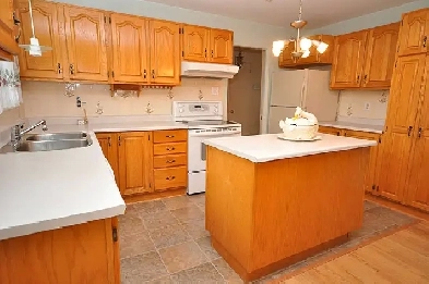 Large Bright 6 Bedroom House for Ottawa/Carleton University Stud Image# 1