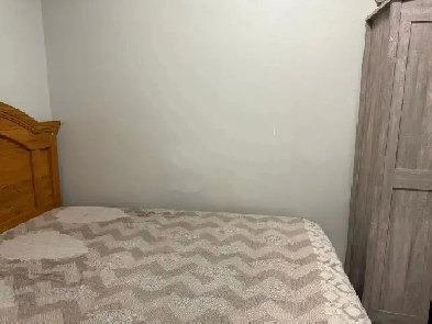 Sublease: 1BHK Downtown Cambridge | $1300 | Utilities Included Image# 2