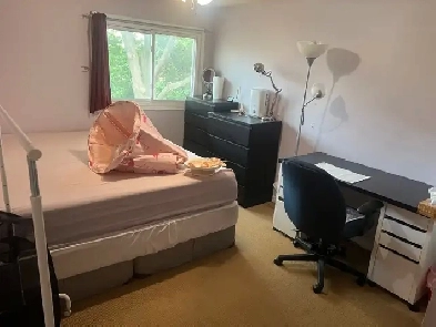 rent utm and school one room only girl Image# 1