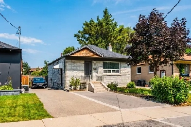 FOR RENT: RENOVATED BASEMENT UNIT - 41 Treeview Dr, Toronto Image# 5