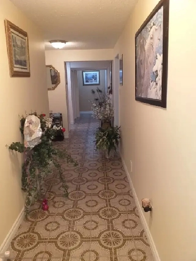 2 huge bedroom basement for rent in Brampton from September 1 Image# 1