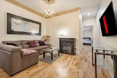 Magnifique appartement sur Le Plateau Image# 1