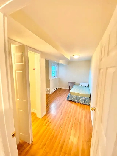 Room For Rent (On The Hill Uptown) Dog & Cat Friendly - Sept 1st Image# 8