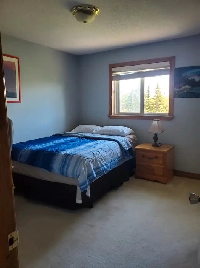 Room For Rent In Beautiful Tuscany ! Available August 1 2025 Image# 1