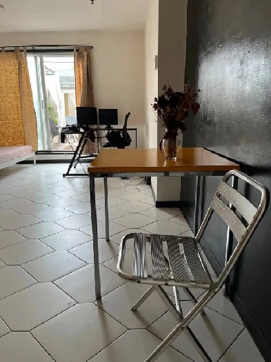 Studio meublé au metro Papineau, Saint Catherine Est à louer Image# 1