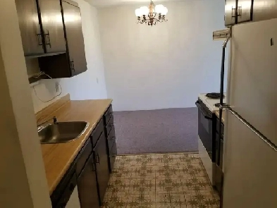 BEAUTIFUL ONE BEDROOM SUITE - PET FRIENDLY Image# 1