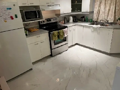 3 1/2 à louer 1er juillet demie sous sol Image# 1