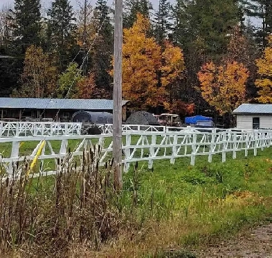 5 acre hobby farm Image# 10