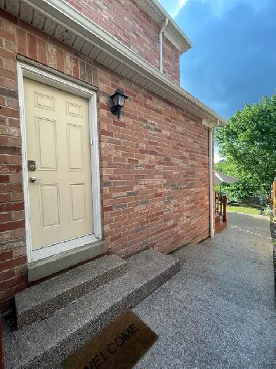 Lookout basement for rent in Brampton Image# 1