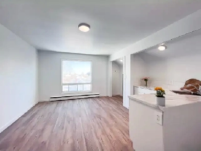 Spacious 2-Bed · 2 Kitchenettes · 1 Bath · 2 Storage – ALL INCL Image# 1