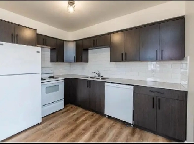2 bedroom 1 bath upper suite for rent Image# 4