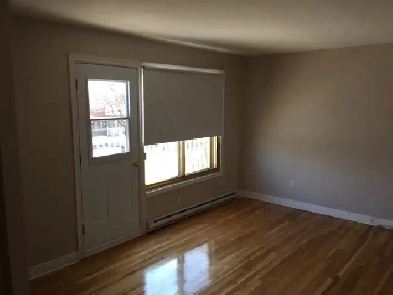 4-1/2 secteur rue Viau/Bélanger Image# 1