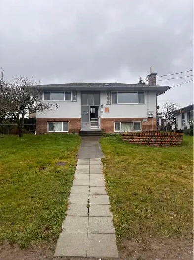 Spacious and Clean Upper Level of a House Image# 1