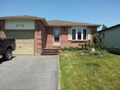 Clean, Quiet House for Students Near Georgian College Image# 1