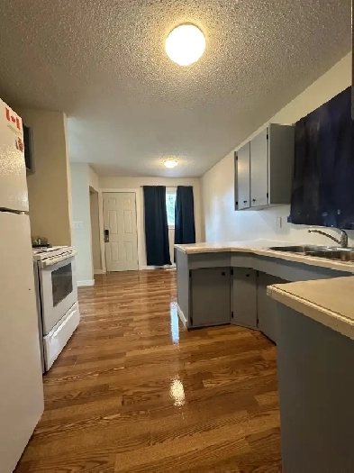 Renovated 3 Bed 1 Bath - Utilities includef Image# 1
