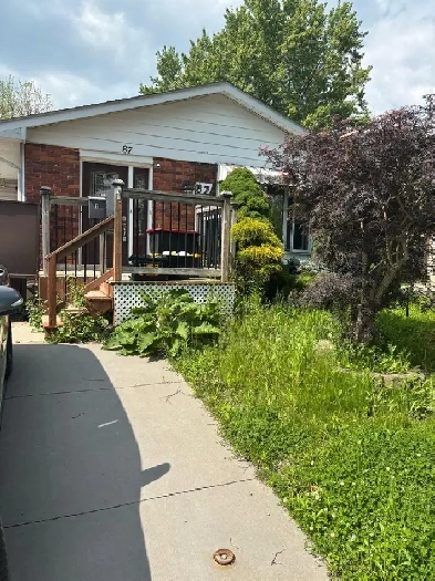 House for rent Image# 5