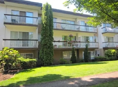 Spacious 1 bedroom / 1 bath unit available now (Fraser & 44 Ave) Image# 8