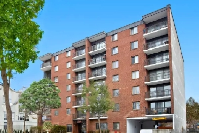 Le Paris Apartments - 1 Bedroom available at 141 Augusta Street, Image# 1