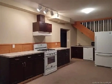 Pet friendly 2 bed rm. legal basment suite close 2 park shopping Image# 3