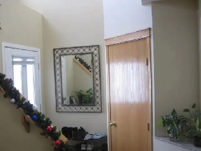 Basement with small Private kitchen for rent in Bridlewood – SW Image# 1