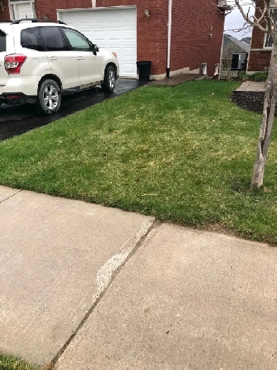 walkout basement for rent Image# 1