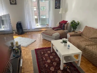 Large 2 bedrooms apartment near metro station /4.5 près du métro Image# 1