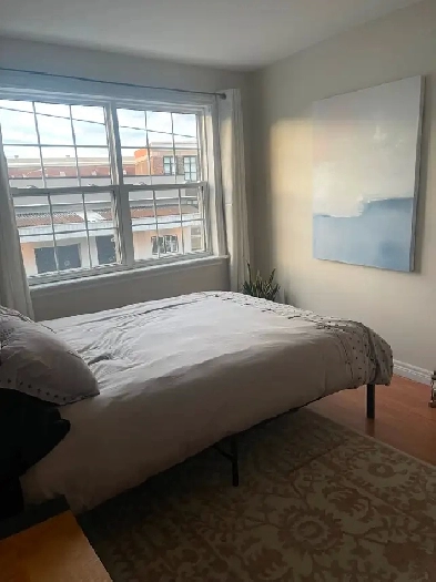 Roommate Wanted Image# 2