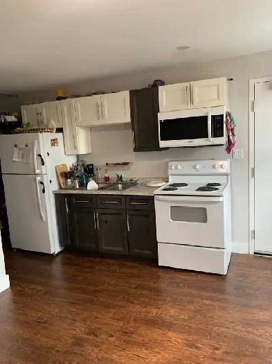 1 Bed 1 Bath Apartment for Rent Image# 2
