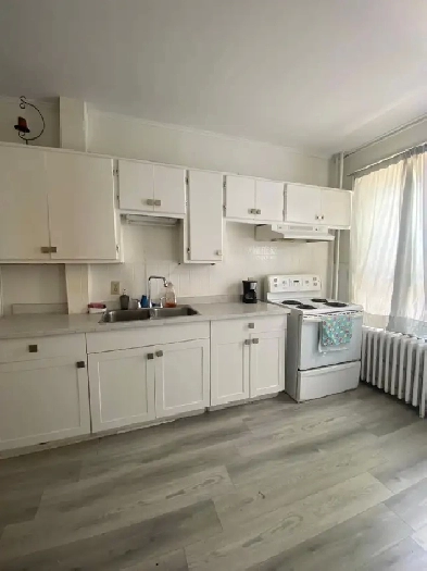 2 bedroom apt SJ, in the best location Image# 5