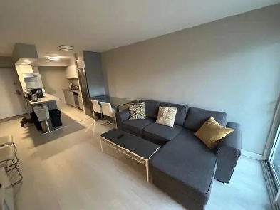 Fully Furnishes Apartment In front of Concordia University Image# 1