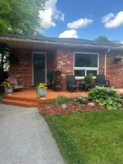 Finished basement for rent Image# 1