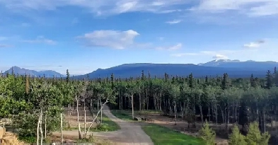 Beautiful 88 acres TURN KEY FARM BUSINESS OPPORTUNITY Image# 3