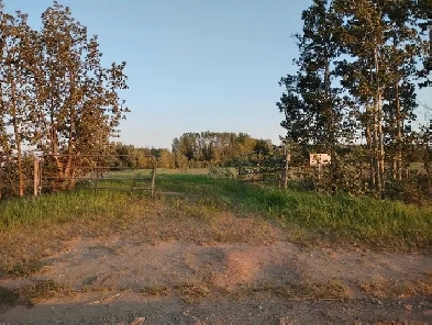 Looking for some acres Image# 1