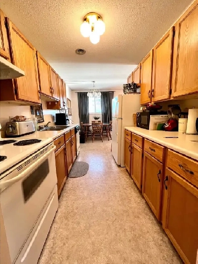 Bright 2-bedroom Apt.  AC  Available Immediately Image# 1
