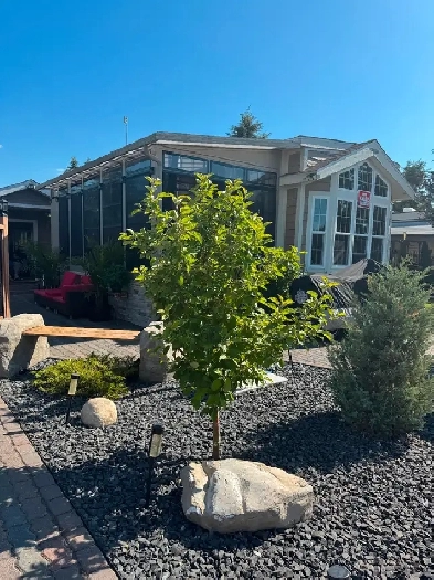 Park Model $295 .000 370165 79 Street ERural Foothill Image# 1