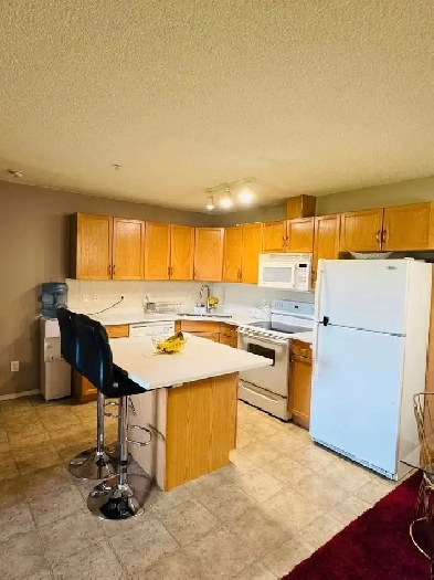 16311 95 St Condo for Rent Image# 1