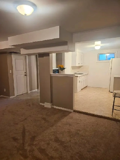 1 Bedroom Basement Suite – Parkdale Area Image# 1