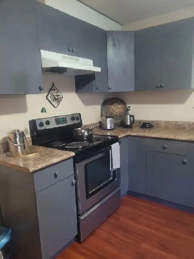Two Bedroom Basement for Rent Image# 3
