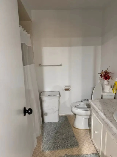 1 BR w large living space ! Fully furnished Image# 1