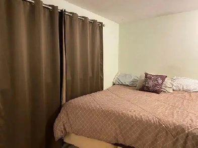Room For Rent Near Algonquin College Image# 1