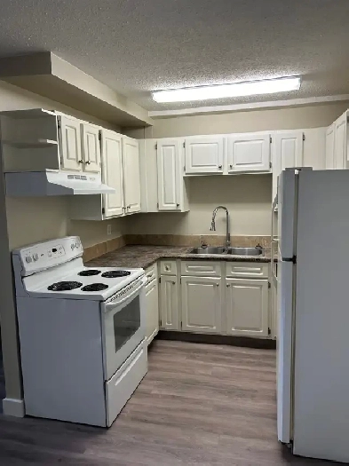 BEAUTIFUL 2 BEDROOM SUITE - RECENTLY RENOVATED Image# 1