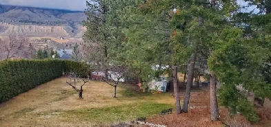 2300$ pet friendly 2 bedroom rental Image# 8