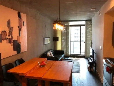 All Inclusive One-Bedroom Condo For Single Professional For Rent Image# 1