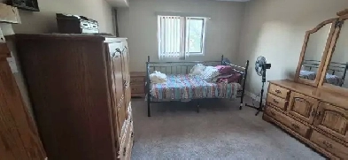 Looking for a roommate Image# 5