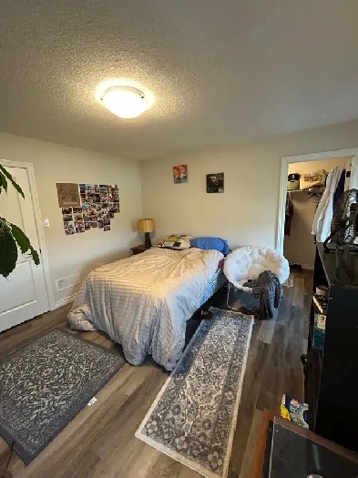 Master Bedroom for Rent – Walk-In Closet & Private Ensuite Image# 4