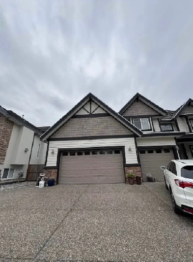 2 Bedroom 1 Bath Basement Suite in Surrey AVAILABLE NOW Image# 3